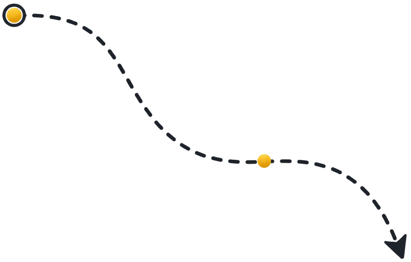 Seta